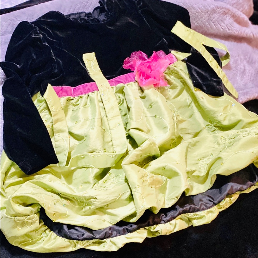Genuine Rose Party dress! Size 3T